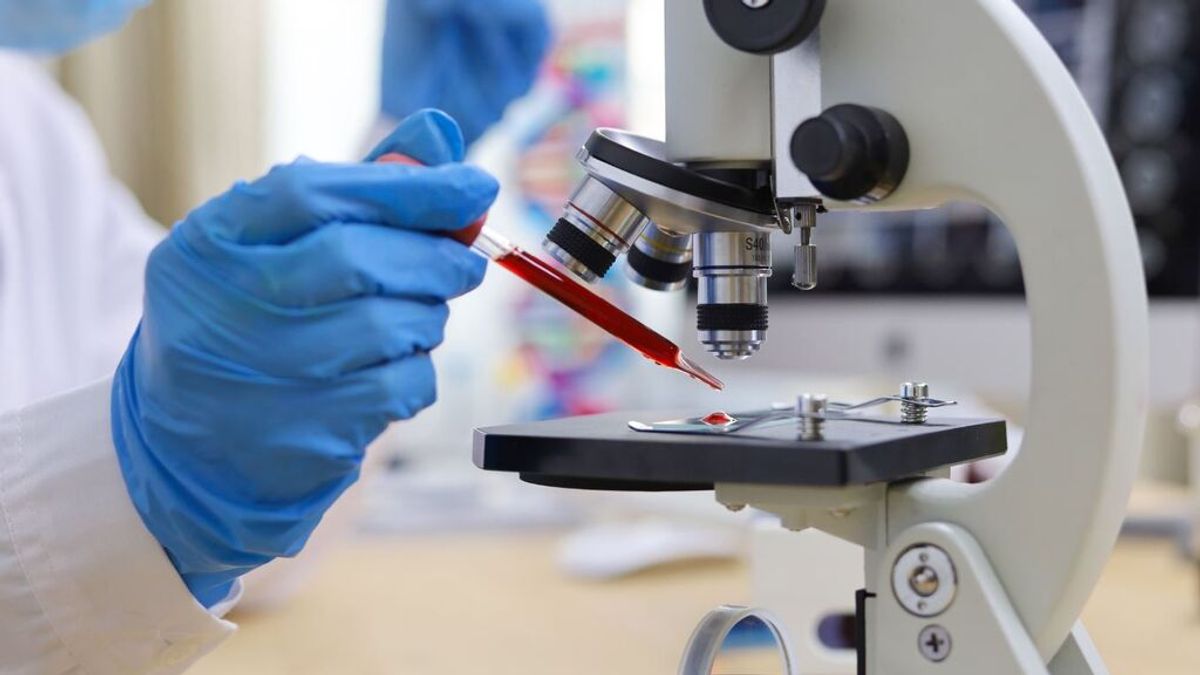 La OMS investigan dos nuevas ómicron, BA.4 y BA.5, con "alteraciones que pueden ser importantes" La OMS investigan dos nuevas ómicron, BA.4 y BA.5, con "alteraciones que pueden ser importantes"