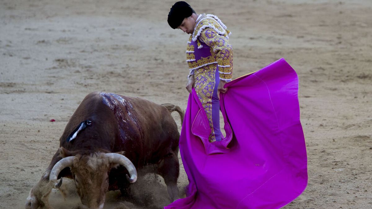 Podemos, ERC y Bildu quieren que la Ley audiovisual califique los toros como "contenido perjudicial" para los menores Podemos, ERC y Bildu quieren que la Ley audiovisual califique los toros como "contenido perjudicial" para los menores