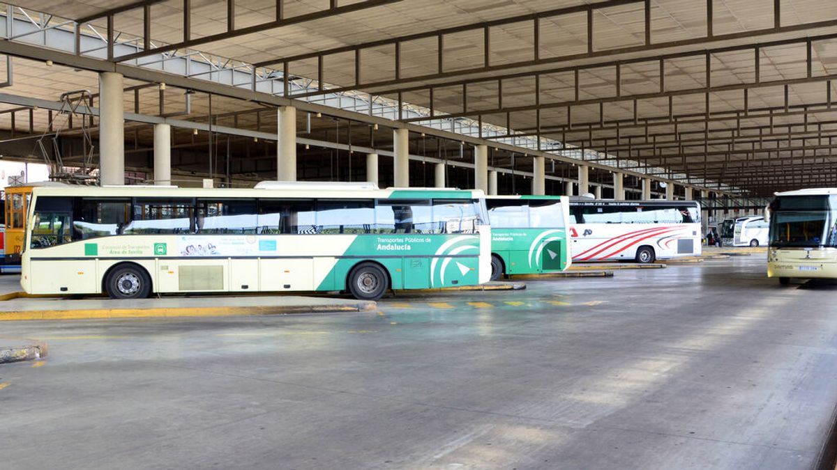 Sevilla necesita 200 conductores de autobús para la temporada alta de viajes