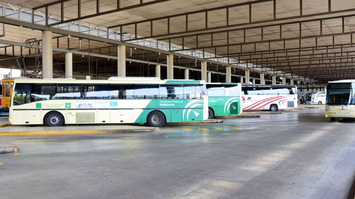 Sevilla necesita 200 conductores de autobús para la temporada alta de viajes Sevilla necesita 200 conductores de autobús para la temporada alta de viajes