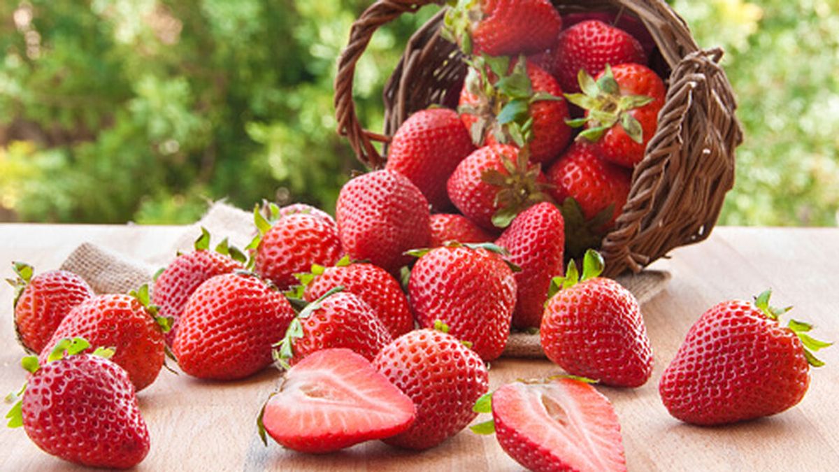 Las mejores recetas con fresas Las mejores recetas con fresas