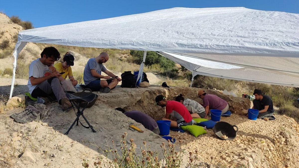 Descubren un hábitat neandertal al aire libre de más de 120.000 años en Aspe Descubren un hábitat neandertal al aire libre de más de 120.000 años en Aspe