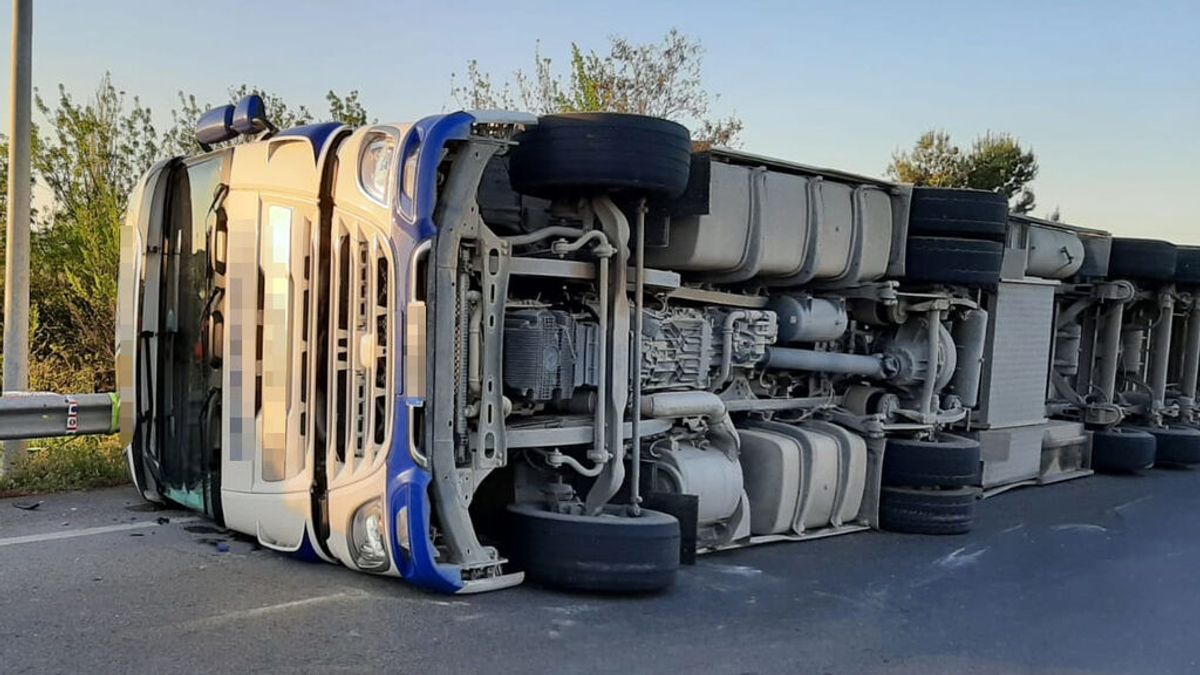 Vuelca un camión que transportaba cerdos en la NA-160, en Tudela Vuelca un camión que transportaba cerdos en la NA-160, en Tudela