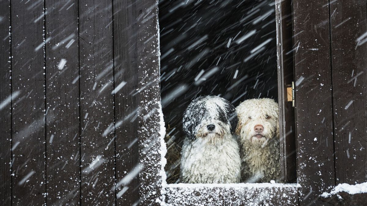 Llega una DANA con frío invernal: ¿Dónde habrá nieve esta semana en España?