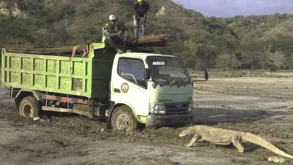 clipping_ctRzxU_8648