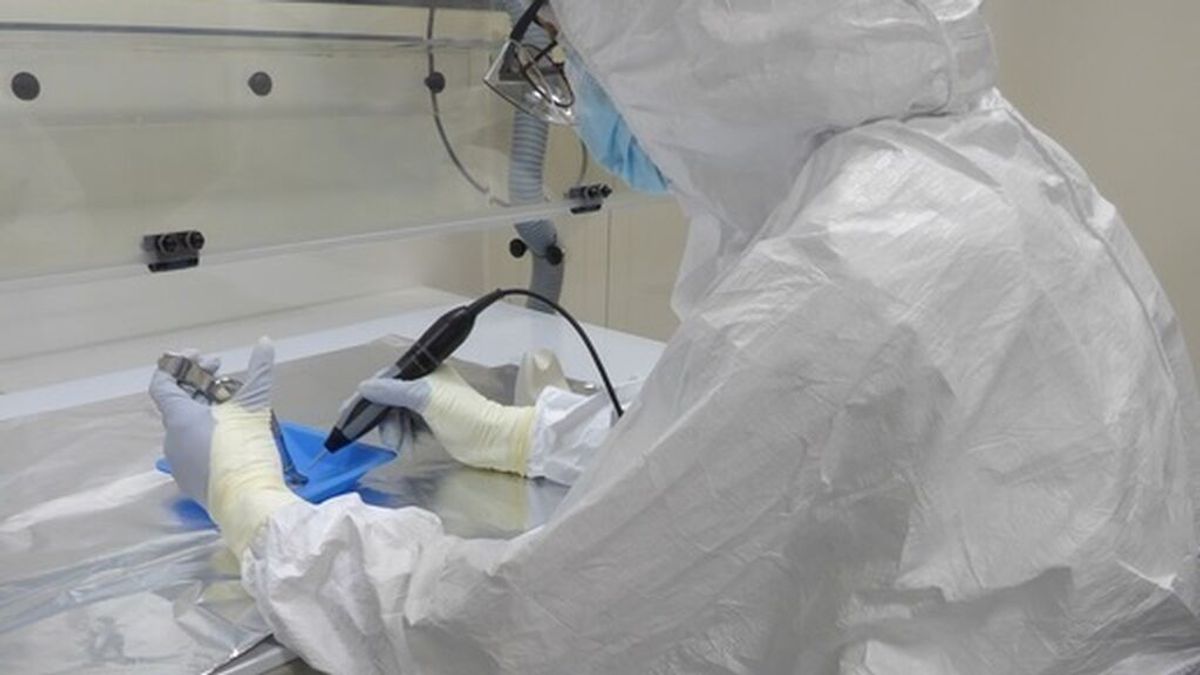 El ECDC sospecha que un "agente infeccioso" podría estar detrás de las hepatitis de origen desconocido en niños El ECDC sospecha que un "agente infeccioso" podría estar detrás de las hepatitis de origen desconocido en niños