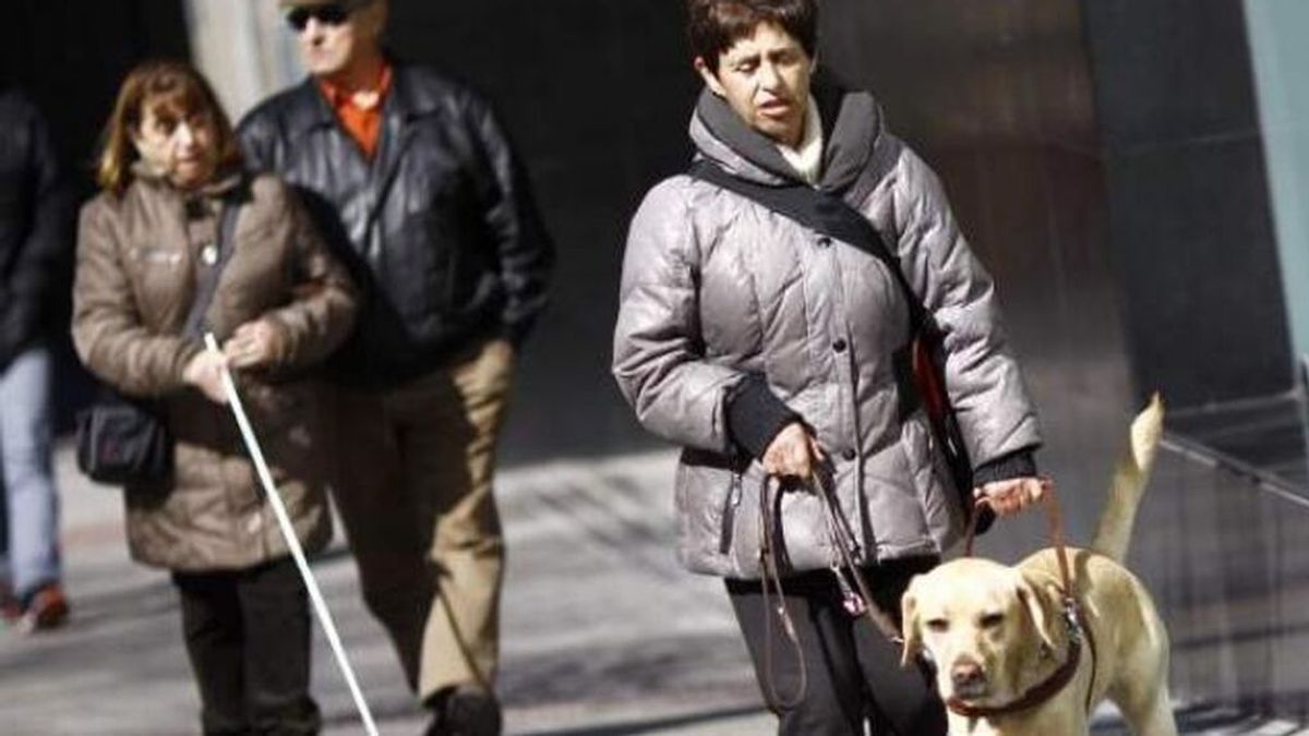 Vivir sin ver ni oír: Más de cuatro millones de personas sufren algún tipo de discapacidad en España