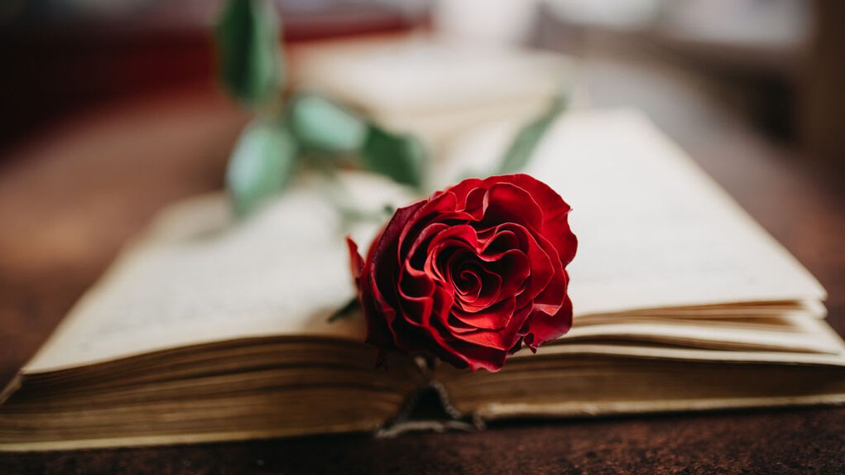 Qué libros regalar en San Jordi 2022 Qué libros regalar en San Jordi 2022