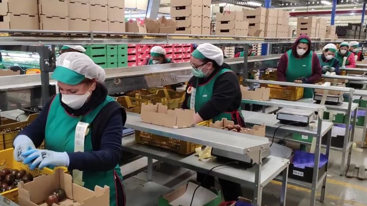 Trabajadoras en su puesto con mascarillas Trabajadoras en su puesto con mascarillas
