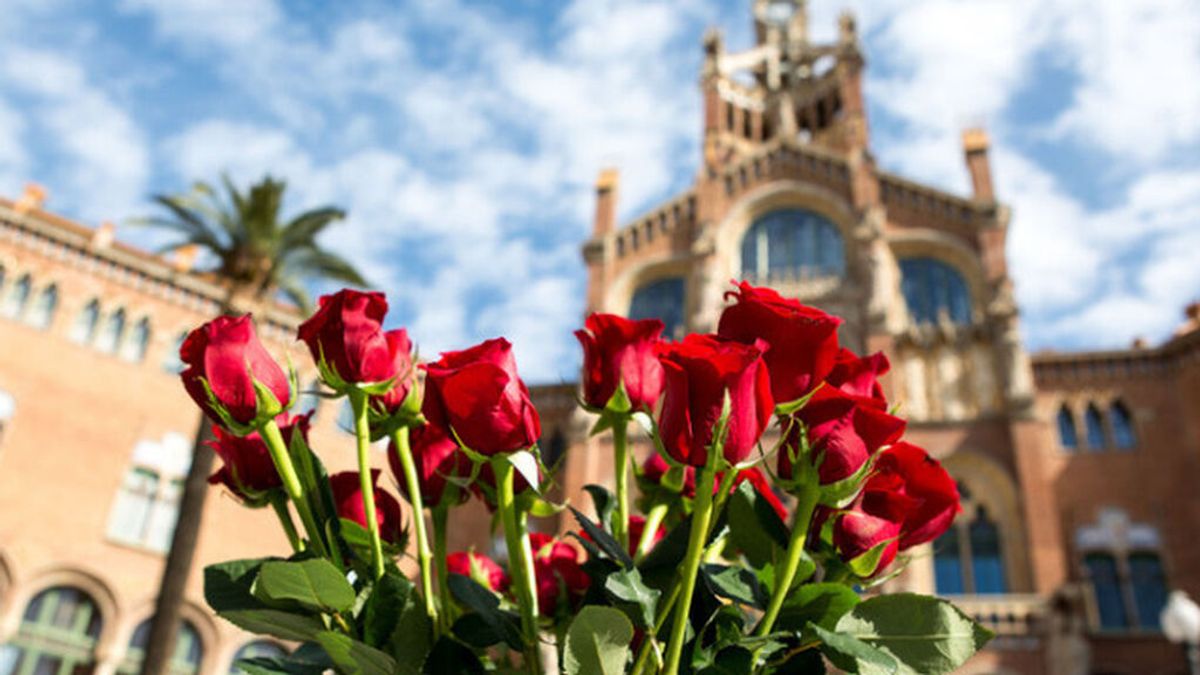 puertas abiertas sant jordi puertas abiertas sant jordi