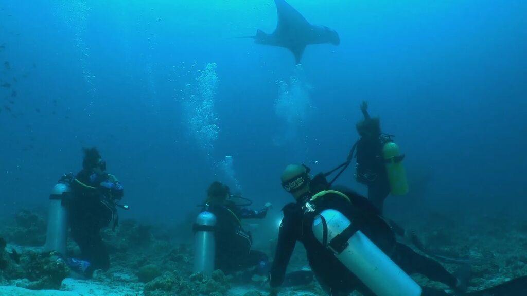 Silvia Abril y Toni Acosta rompen a llorar al bucear con peces Manta