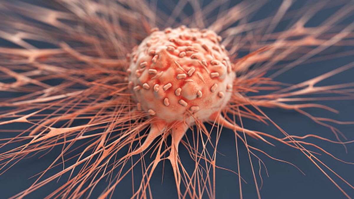 Descubren nuevas células inmunitarias para mejorar el tratamiento contra el cáncer Descubren nuevas células inmunitarias para mejorar el tratamiento contra el cáncer