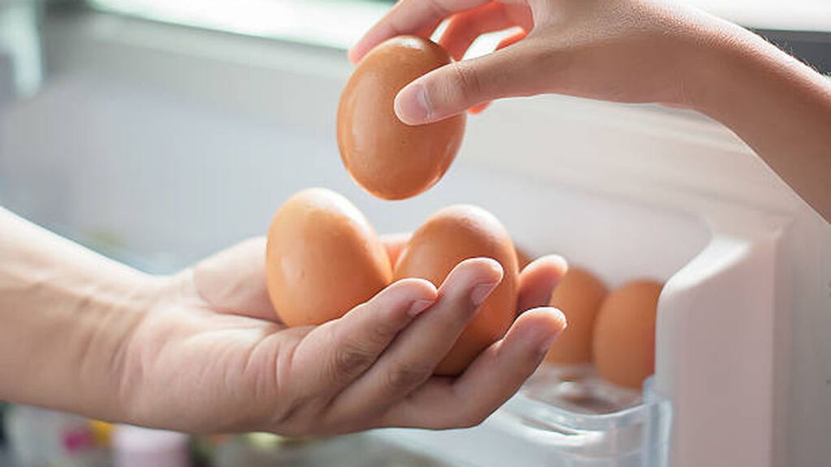 Cómo saber si un huevo es fresco