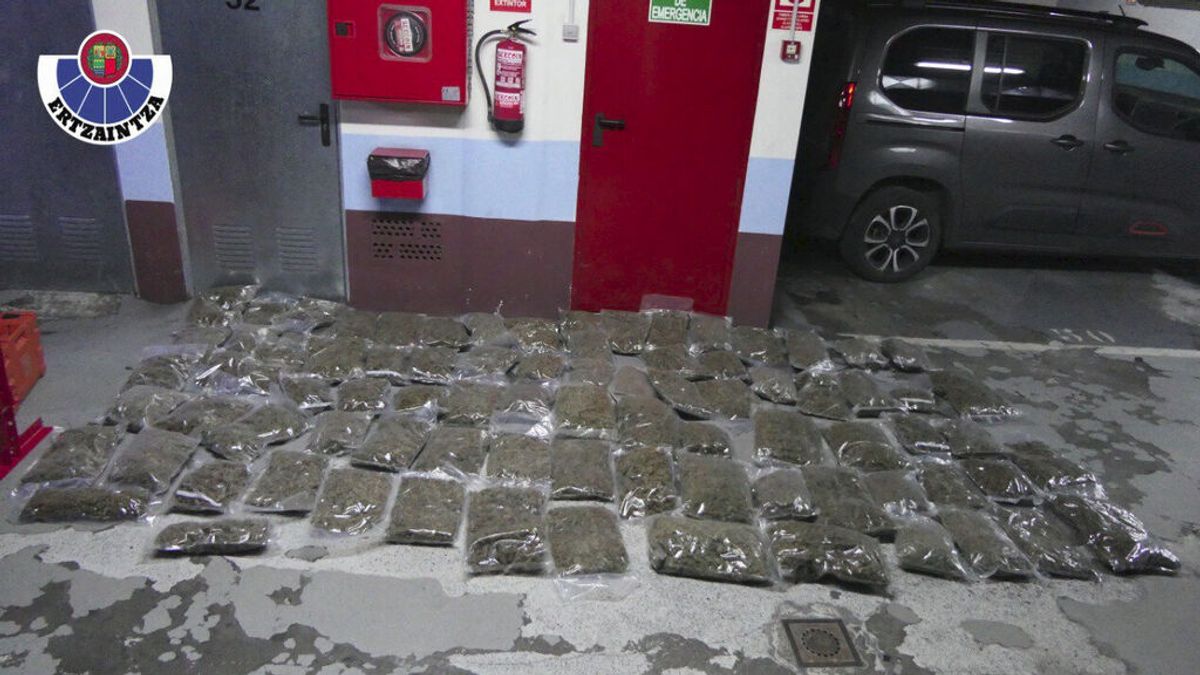 Droga incautada al detenido en Leioa, Vizcaya Droga incautada al detenido en Leioa, Vizcaya