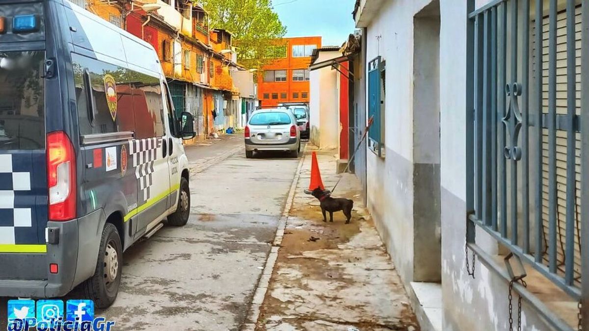 Detenido un atracador fugado de prisión tras una persecución por los tejados de Granada