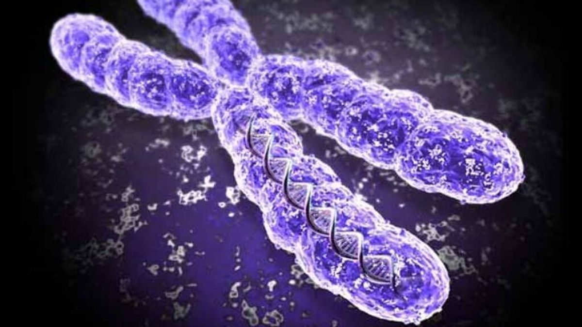Nuevo estudio vincula la longitud de telómeros en mujeres y el riesgo de muerte por covid