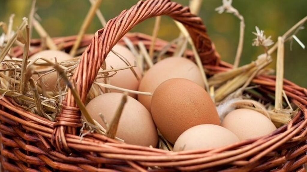 Cesta con huevos