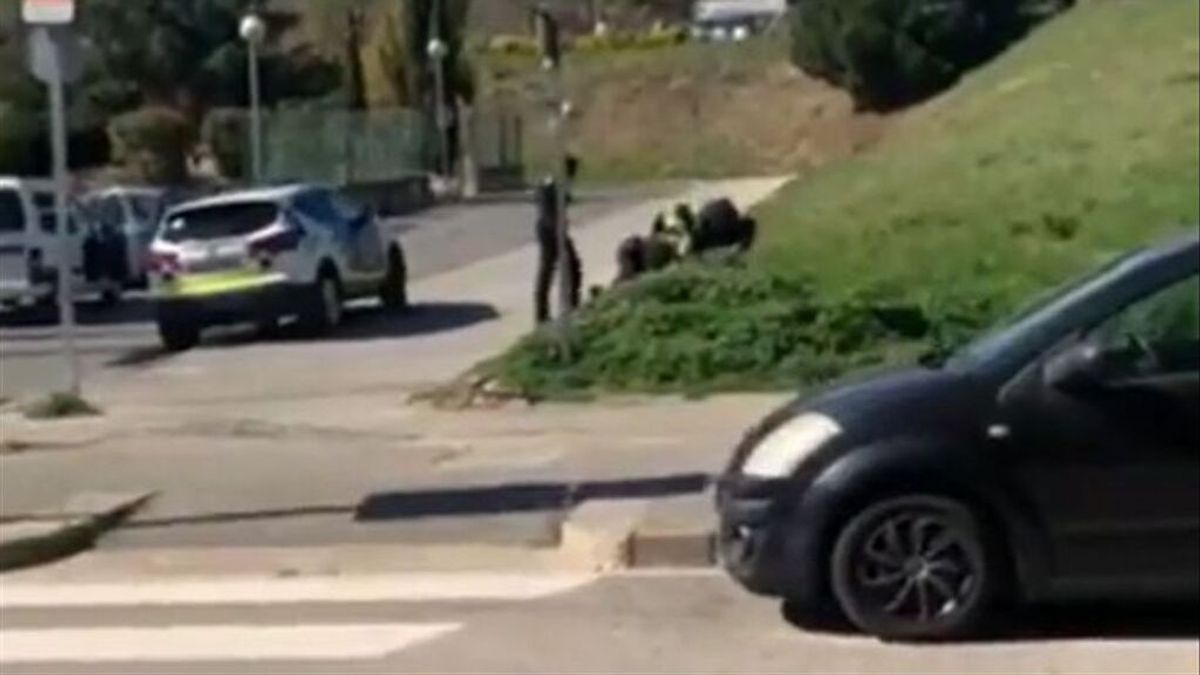 Investigan una presunta agresión de policías locales de Mataró a un detenido Investigan una presunta agresión de policías locales de Mataró a un detenido