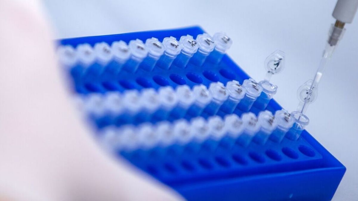 La deriva del coronavirus: por qué han aparecido más de 20 tipos de ómicron en dos días La deriva del coronavirus: por qué han aparecido más de 20 tipos de ómicron en dos días