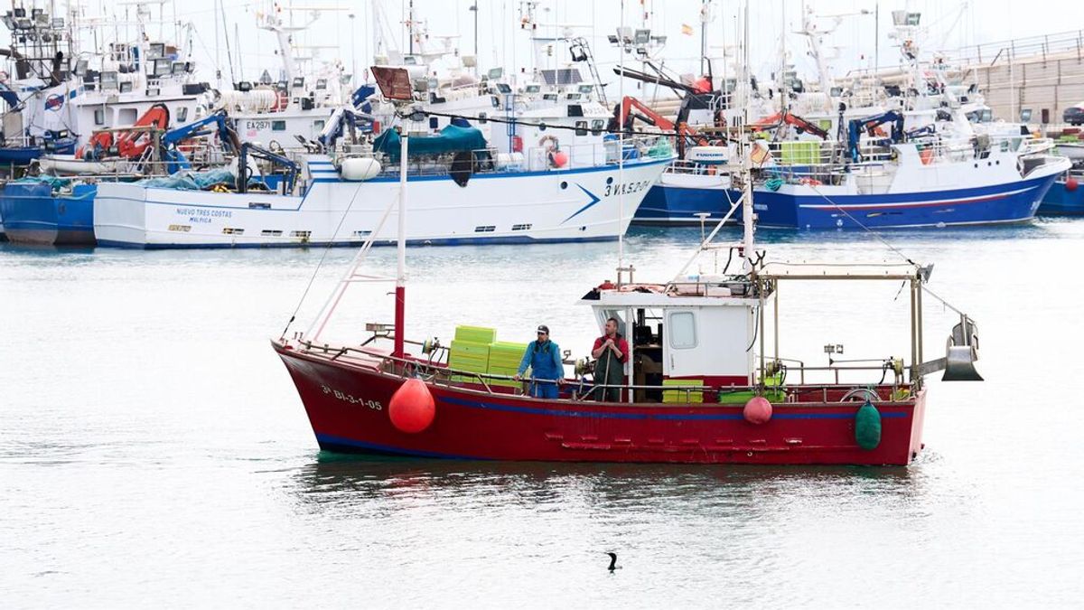 Cofradías de pescadores de España deciden no parar y continuar con su labor a la espera de ayudas