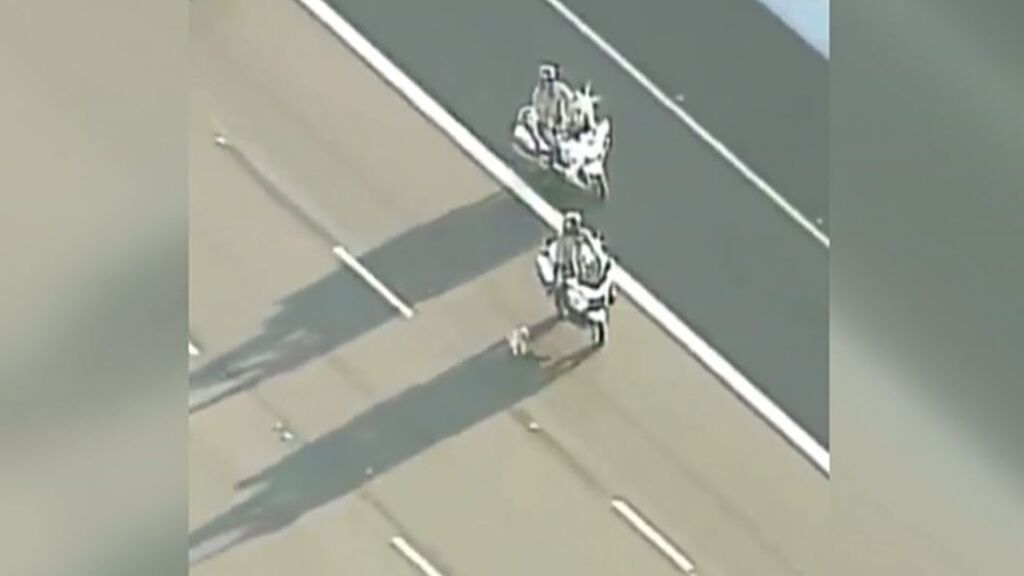 Unos agentes logran rescatar a un perro en una autopista de EEUU tras una persecución policial