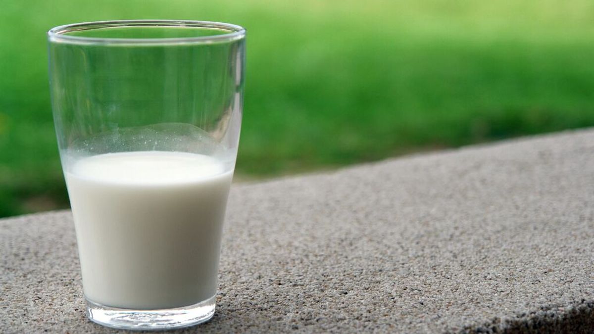 Consumidores y ganaderos gallegos lanzan un observatorio para monitorizar el precio de la leche Consumidores y ganaderos gallegos lanzan un observatorio para monitorizar el precio de la leche