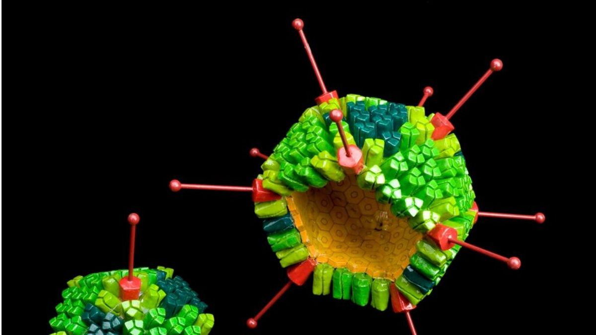 ¿Está el adenovirus 41 detrás de los brotes de hepatitis infantil que tanto preocupan a la OMS?