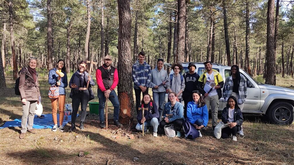 Estudiantes parisinos en Navas de Oro (Segovia) cogiendo resina