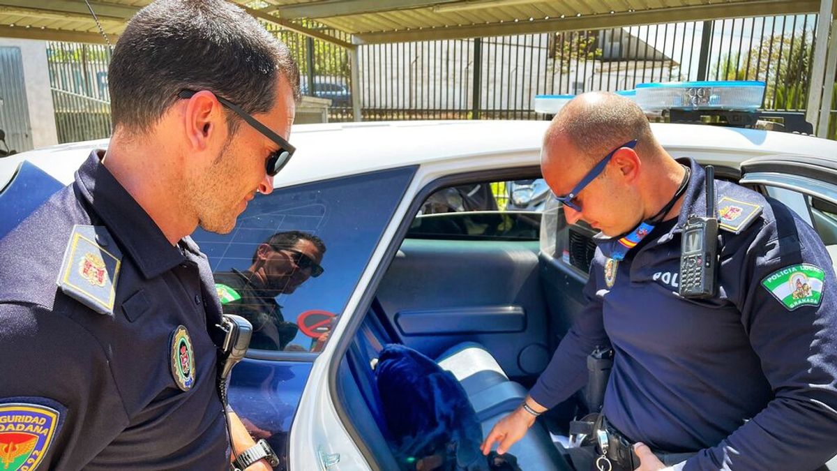 La Policía Local investiga "con mucha impotencia" la muerte por desnutrición de un perro en una terraza de Granada La Policía Local investiga "con mucha impotencia" la muerte por desnutrición de un perro en una terraza de Granada