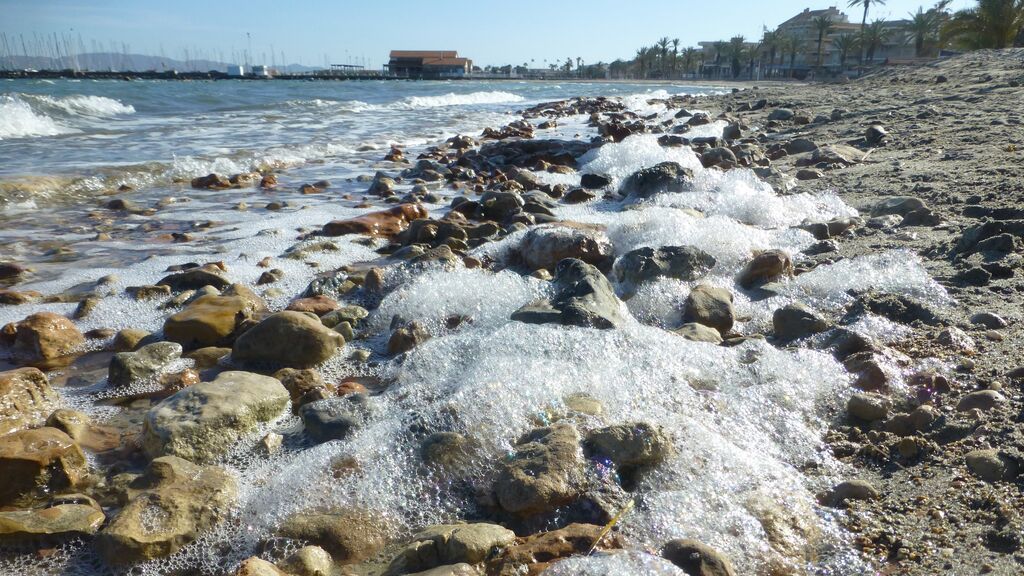 El Instituto de Oceanografía alerta del riesgo de un nuevo episodio de mortandad en el Mar Menor