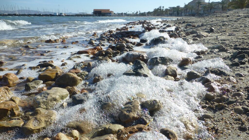 Lluvia, calima y algas, la tormenta perfecta que amenaza con una nueva masacre de peces en el Mar Menor