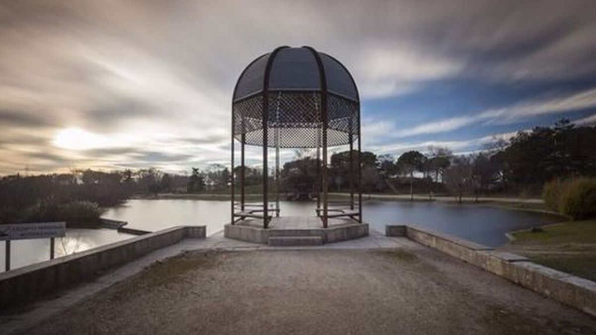 La Comunidad de Madrid confirma un foco de gripe aviar en el Parque Polvoranca de Leganés