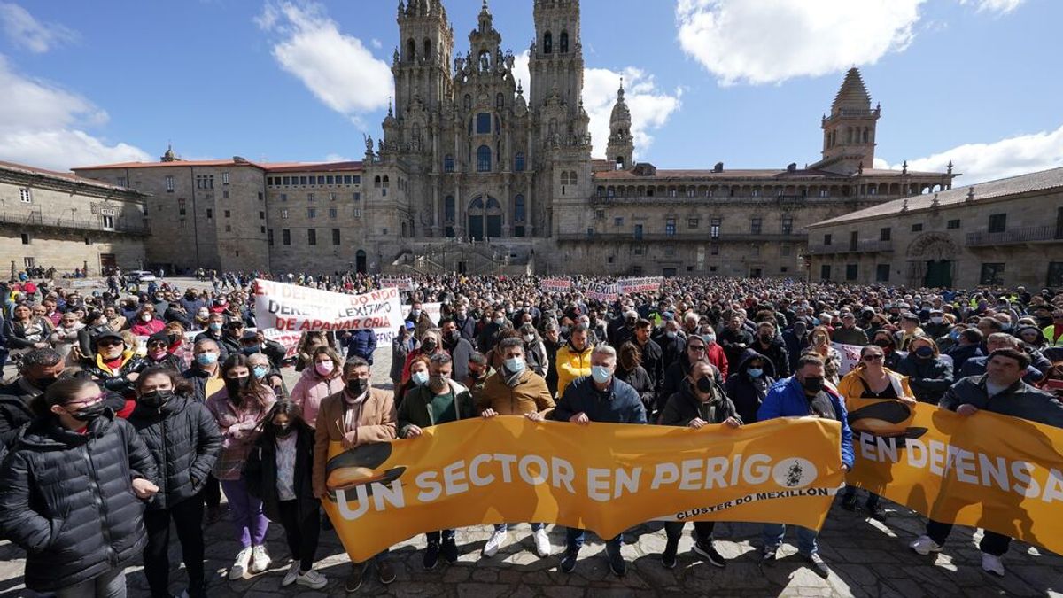 El sector del mejillón anuncia una movilización en Santiago por la "inacción" de la Xunta El sector del mejillón anuncia una movilización en Santiago por la "inacción" de la Xunta
