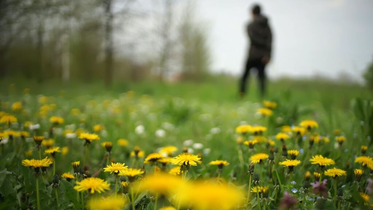 La primavera de sol y cielos claros va a llegar pronto, llega un anticiclon a partir del 6 de mayo La primavera de sol y cielos claros va a llegar pronto, llega un anticiclon a partir del 6 de mayo
