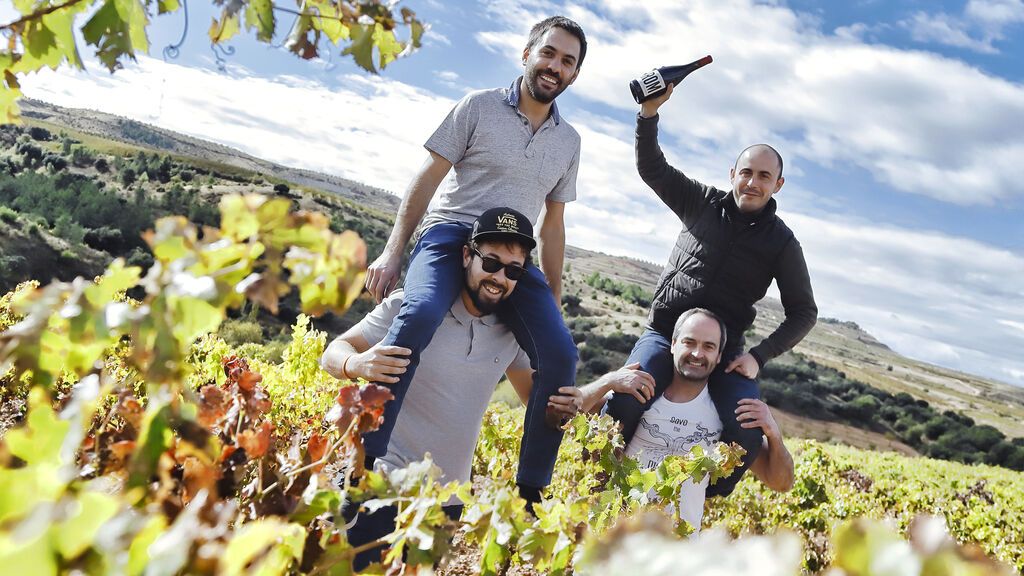 Viñedos en el Campo de Borja