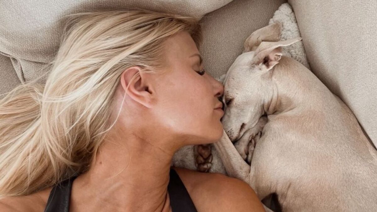 Encuentran muerta a la galga de la influencer Linn Lowes en Marbella: "La encontró nuestro jardinero" Encuentran muerta a la galga de la influencer Linn Lowes en Marbella: "La encontró nuestro jardinero"