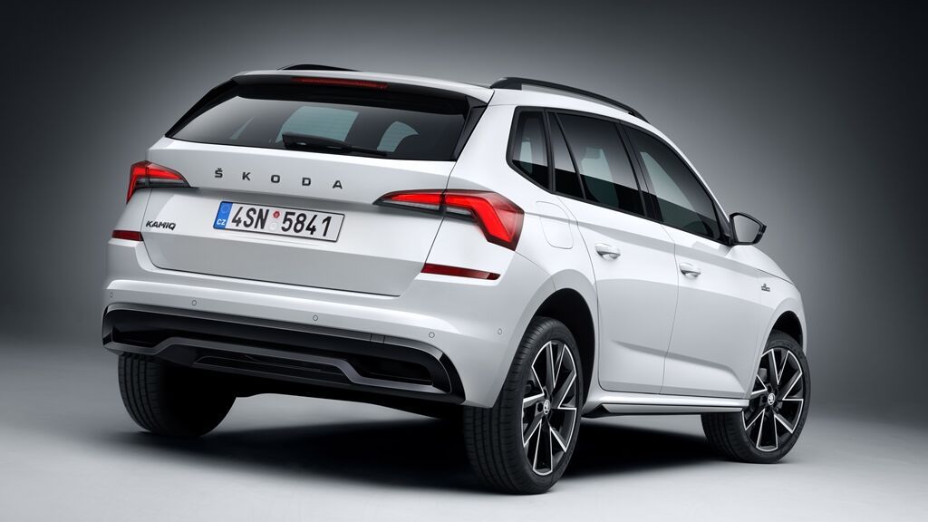 SU COMPORTAMIENTO ES SIEMPRE ESTABLE Y SEGURO