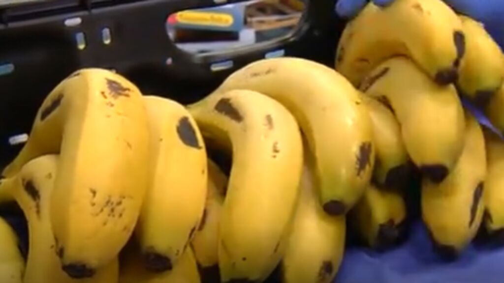Los agricultores de La Palma piden que se consuma el plátano de la isla