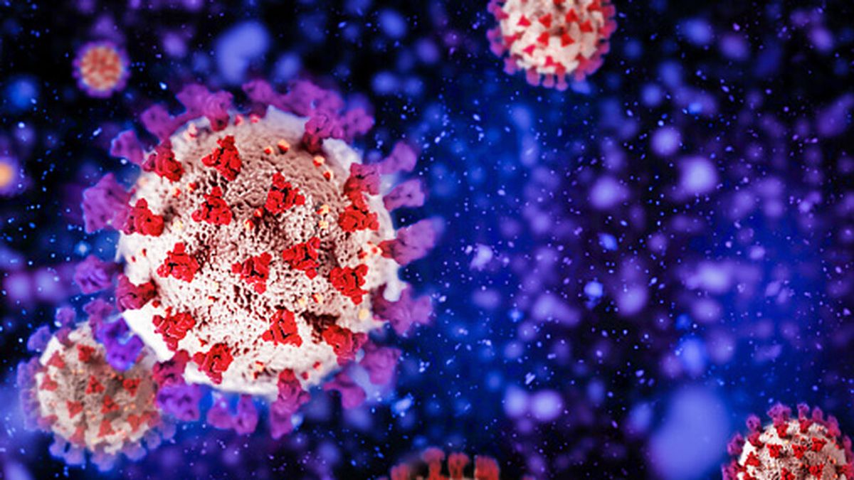 Un nuevo estudio revela cuánto tiempo tarda el cuerpo en eliminar el coronavirus