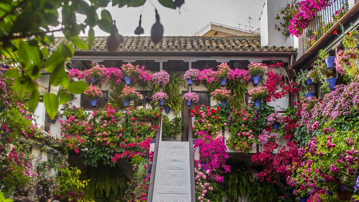 Cuándo y cómo disfrutar de los Patios de Córdoba 2022 Cuándo y cómo disfrutar de los Patios de Córdoba 2022