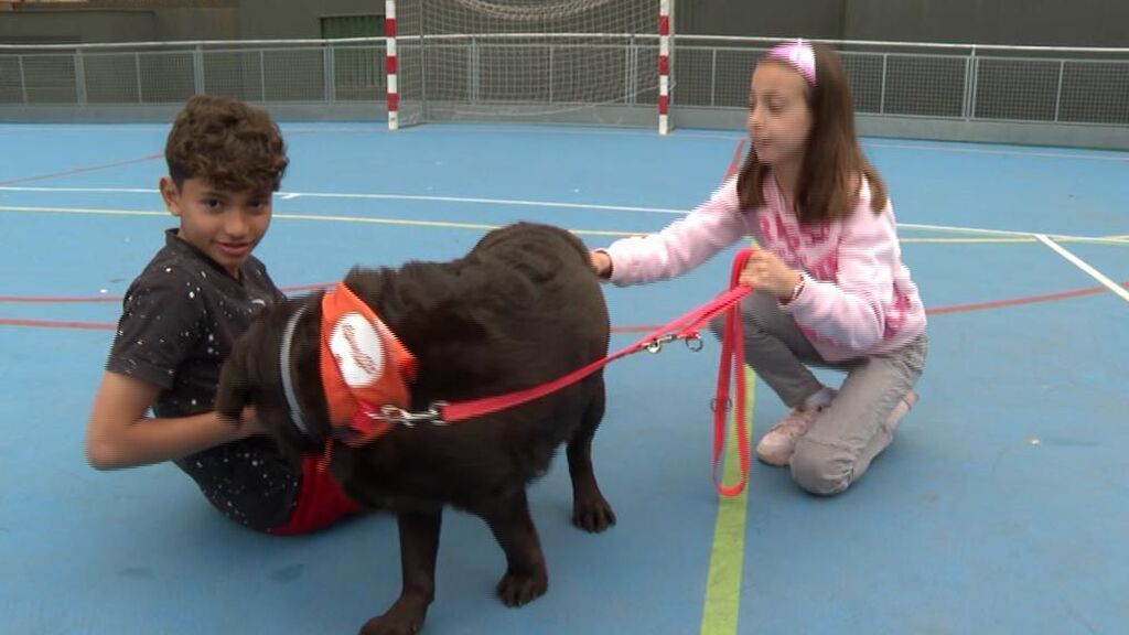 La Escola Lleó XIII de Barcelona trabaja con perros como maestros contra el acoso