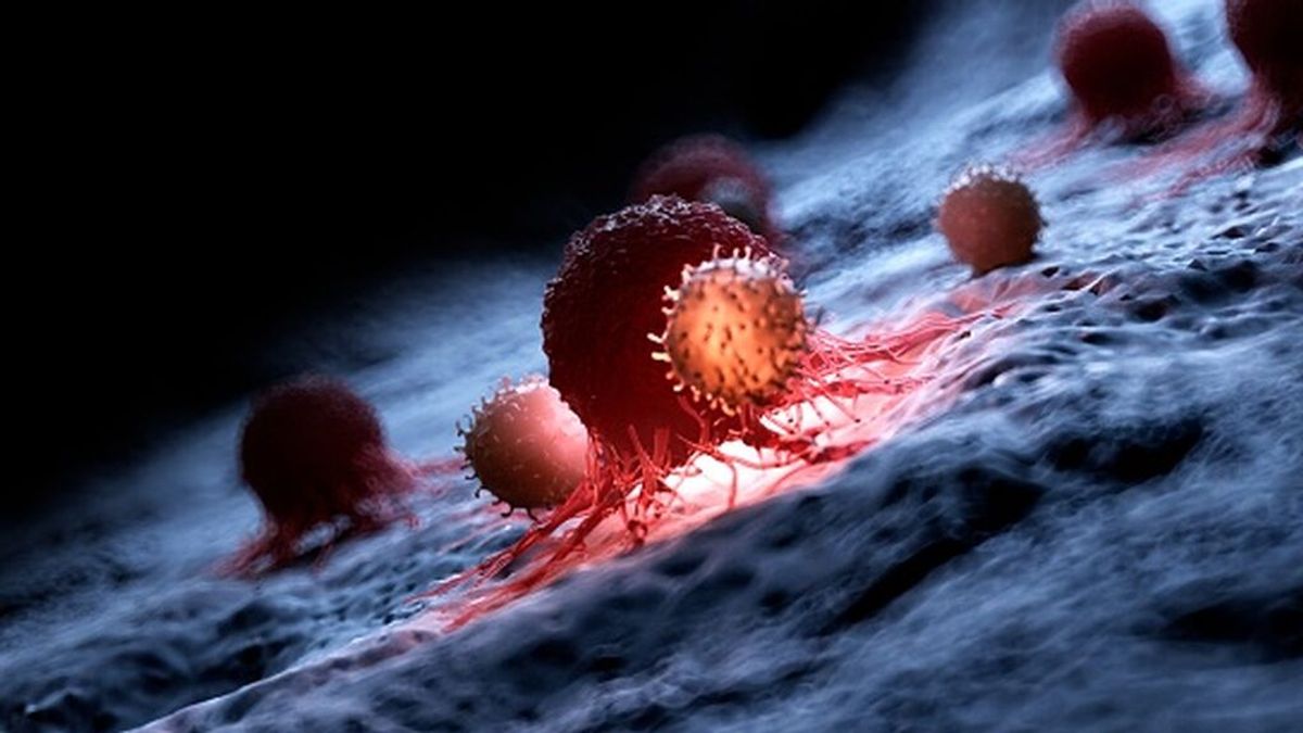 Un cóctel de vacunas antitumorales y quimioterapia mejora el cáncer de mama Un cóctel de vacunas antitumorales y quimioterapia mejora el cáncer de mama