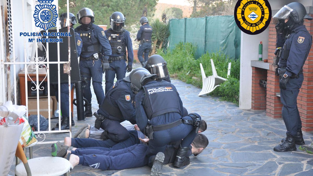 La Policía Nacional desmantela un cultivo indoor de producción de marihuana en LIiçà de Vall La Policía Nacional desmantela un cultivo indoor de producción de marihuana en LIiçà de Vall