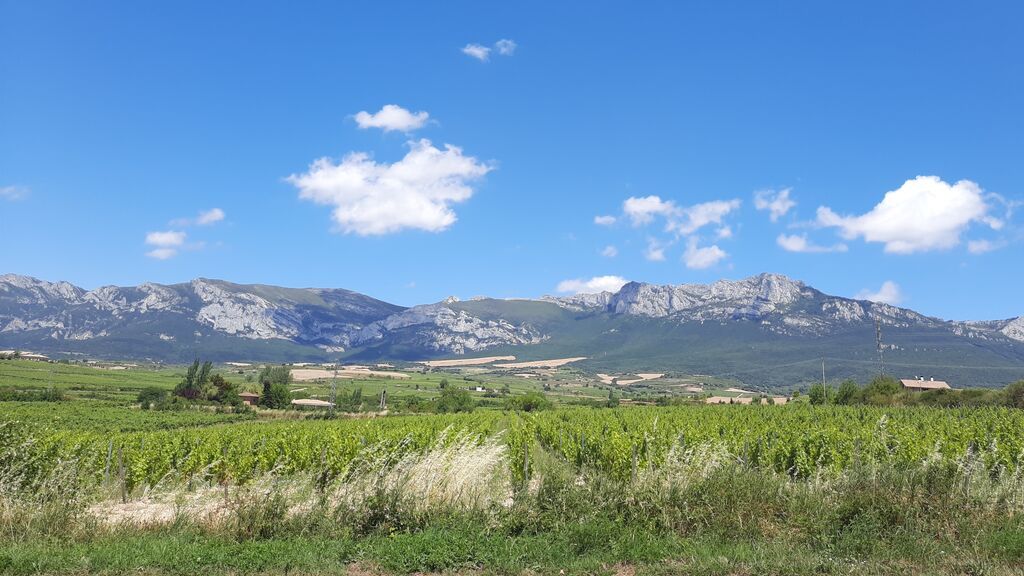 EuropaPress_3249191_vinedos_laguardia_rioja_alavesa_sierra_cantabria_fondo