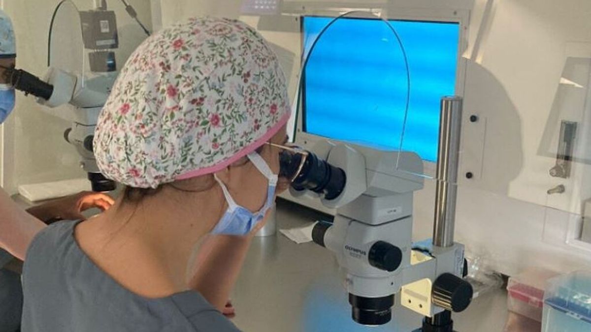 Una clínica española ofrece a sus pacientes ver "en directo" la fecundación "in vitro"