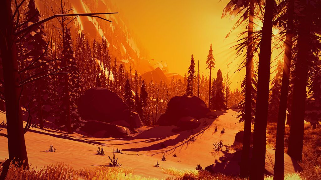 Arctic Awakening