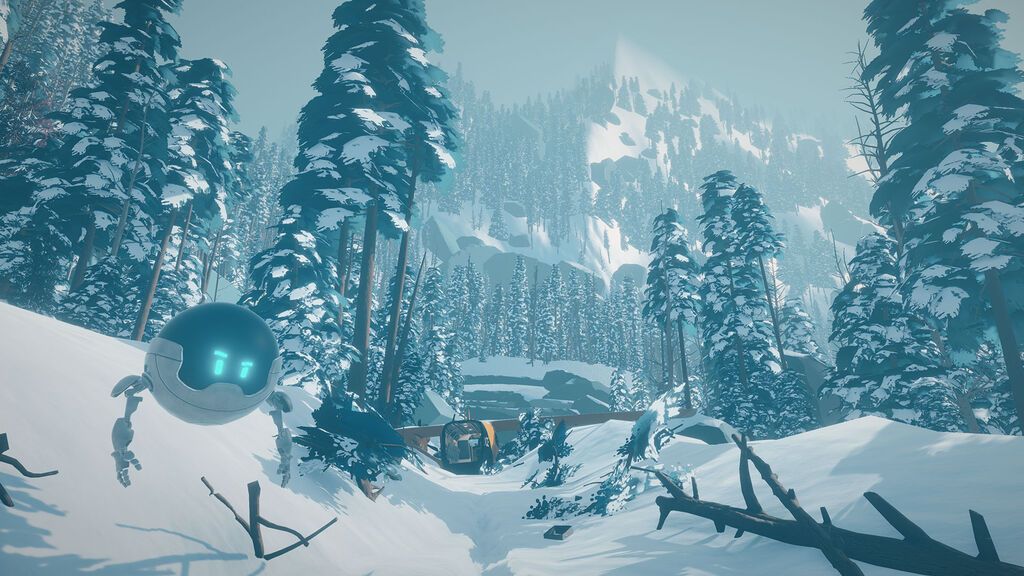 Arctic Awakening