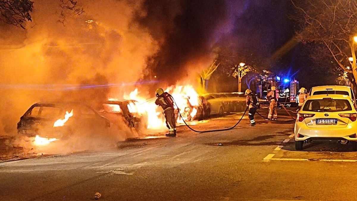 Arden cinco vehículos y varios árboles en Alicante Arden cinco vehículos y varios árboles en Alicante