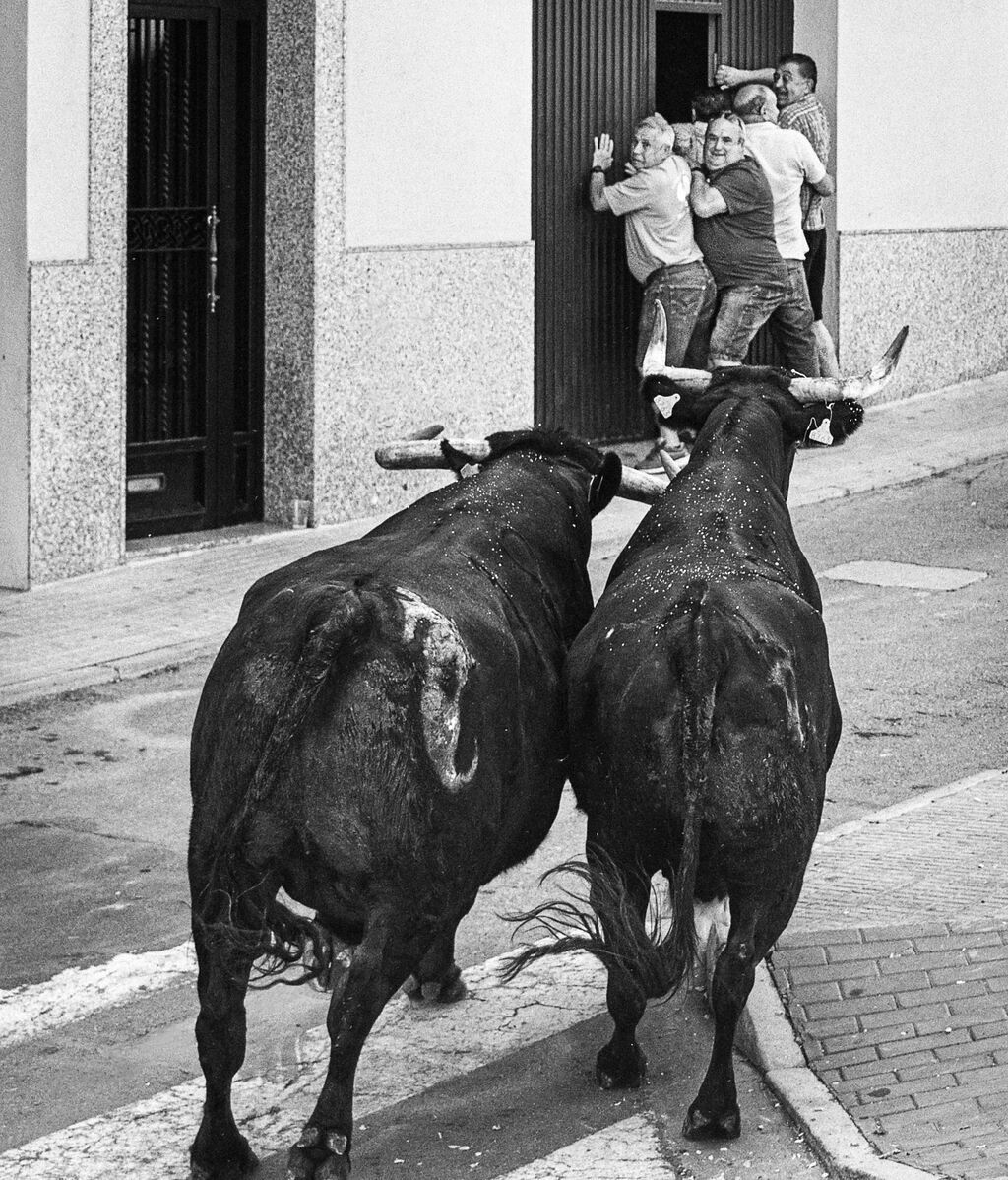 premio fotografía 3