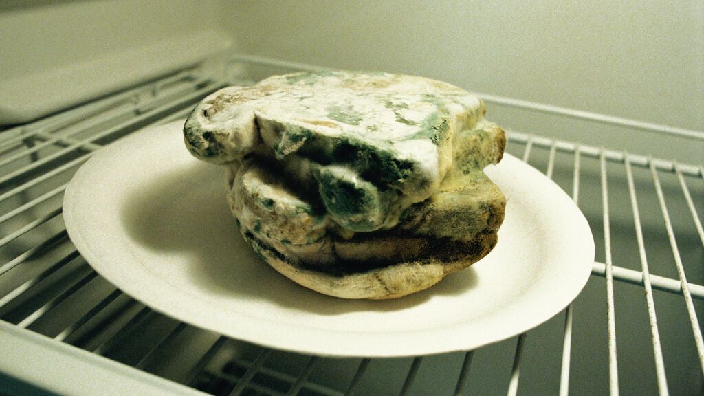 GettyImages-EC6350-001